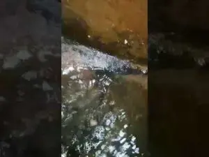 تسربات الخزانات