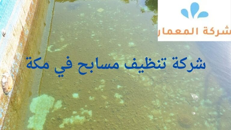 شركة تنظيف مسابح في مكة