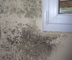 رطوبة الجدران والعفن رطوبة الجدران والعفن