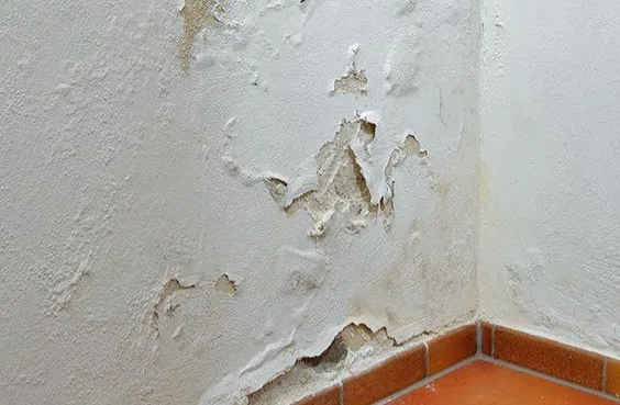 رطوبة الجدران في مكة