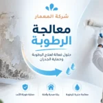 معالجة الرطوبة